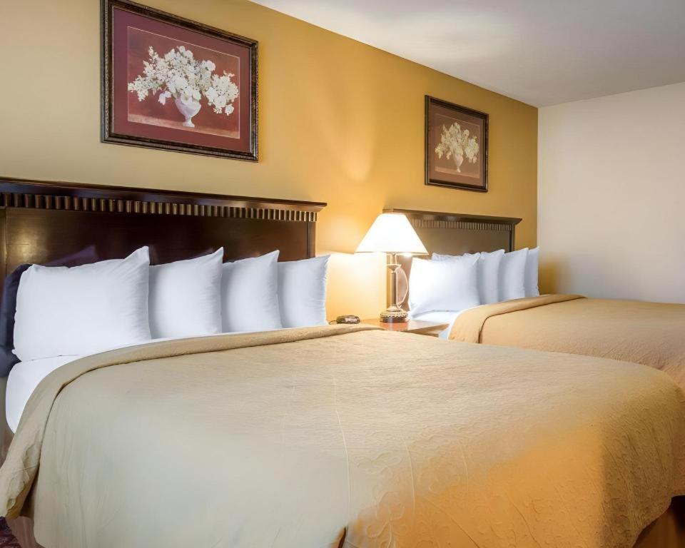 Quality Inn San Bernardino Extérieur photo