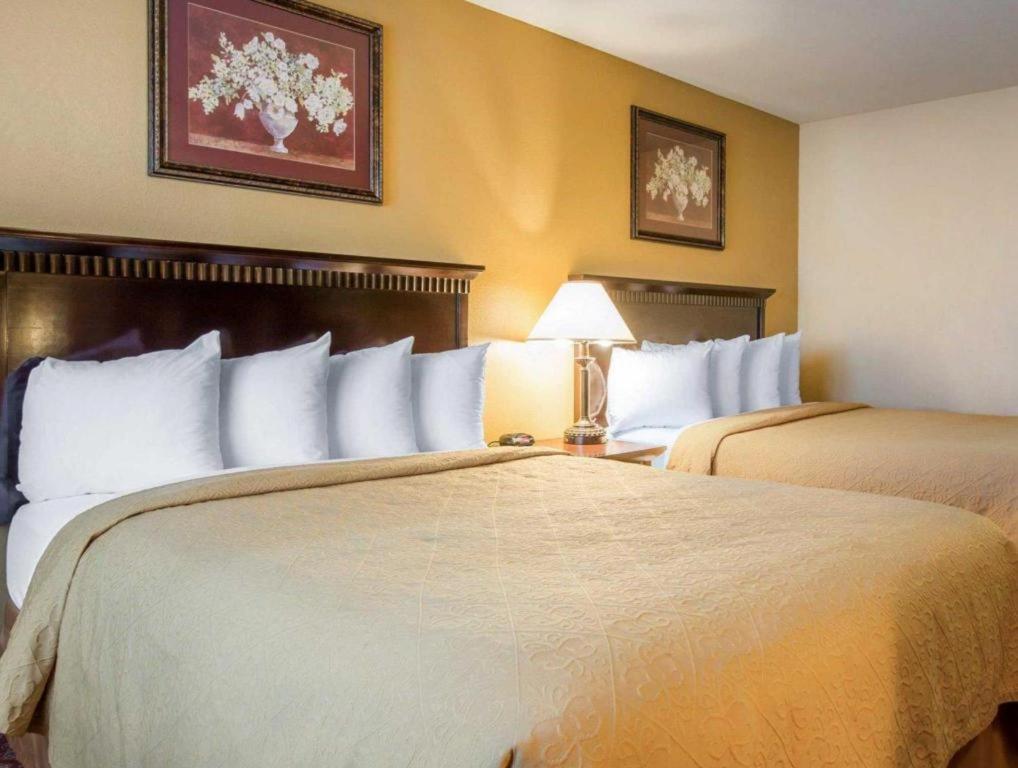Quality Inn San Bernardino Extérieur photo