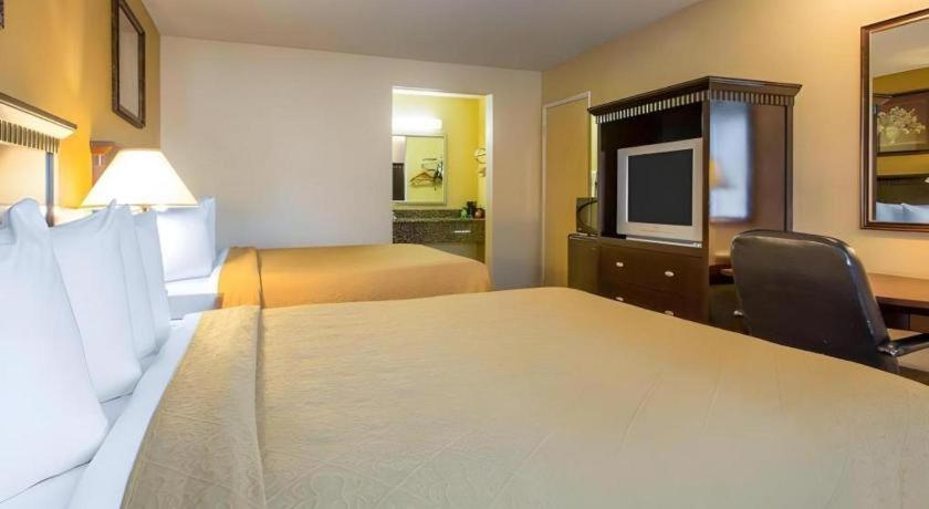 Quality Inn San Bernardino Extérieur photo